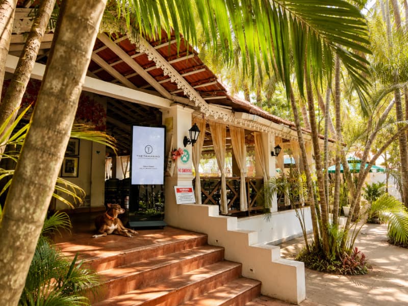 Gallery 18