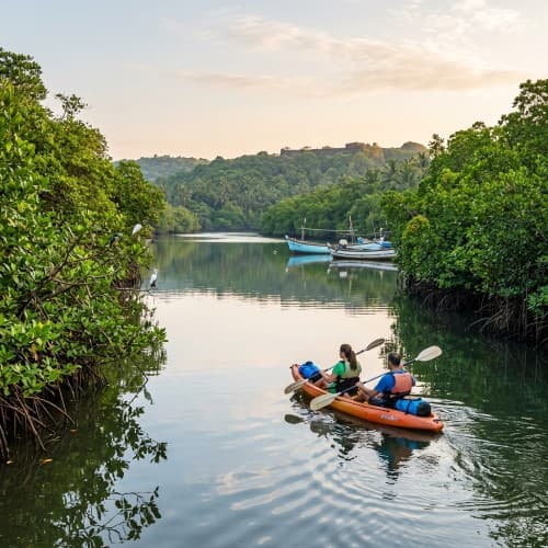 Siolim & Chapora River